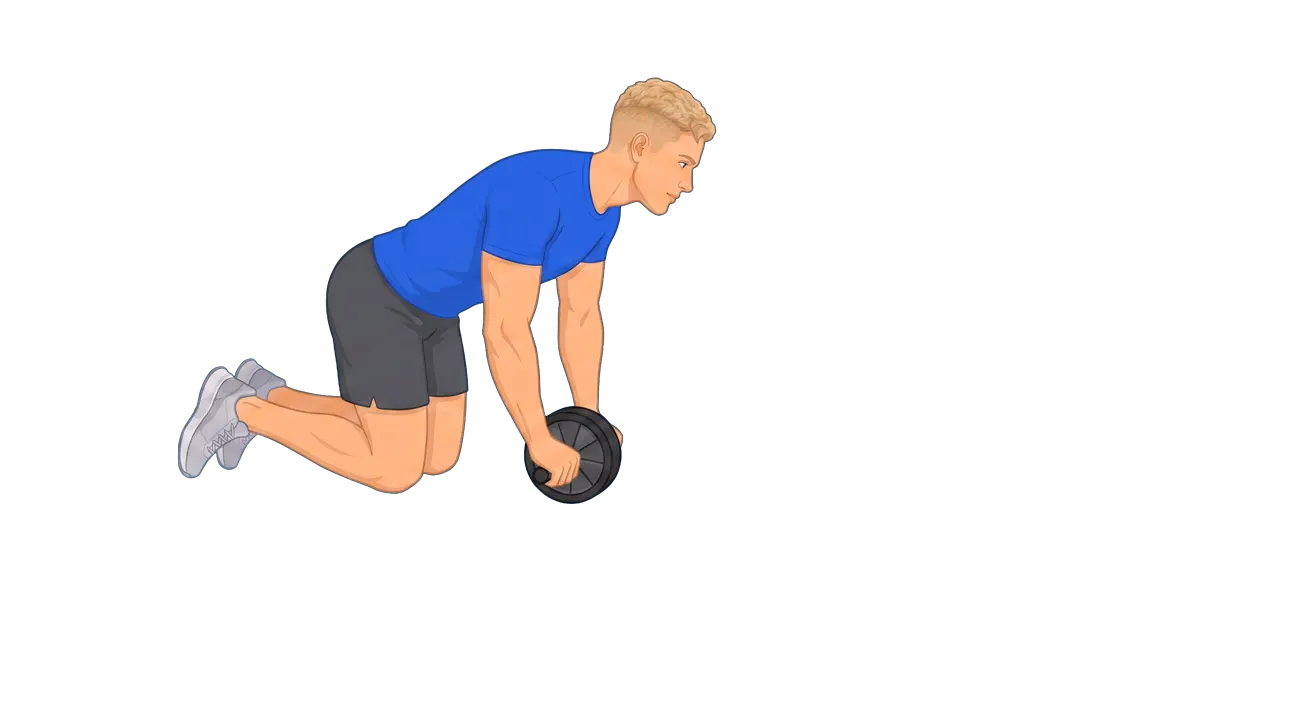 Ab Wheel Rollout (Michael)
