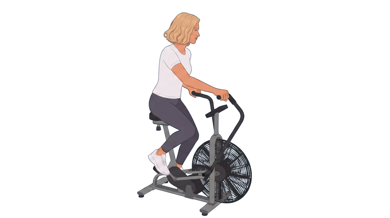 Assault Bike (Cindy)