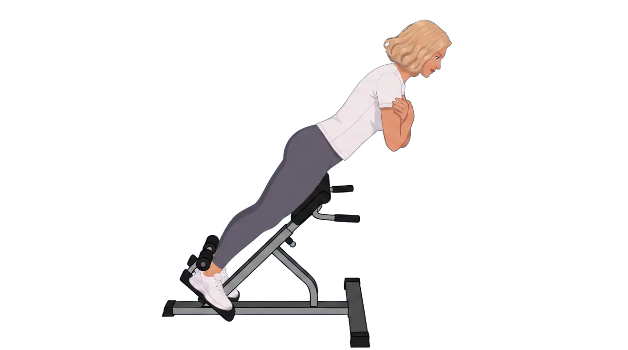 Back Extension (45°) (Cindy)