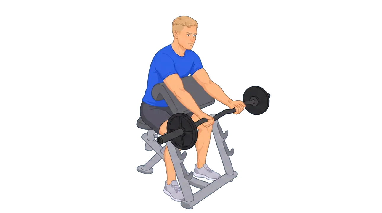 Preacher Curl (Michael)