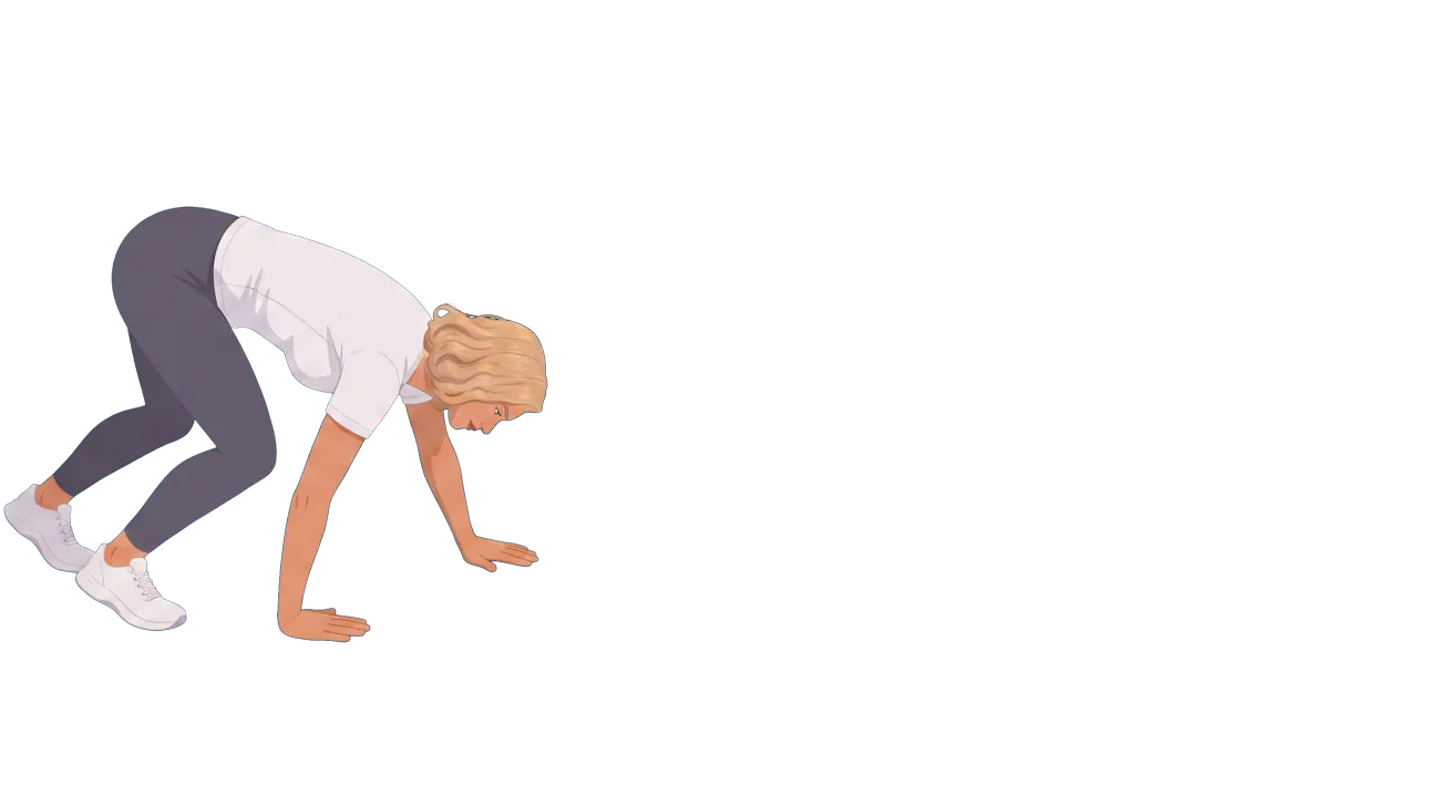 Bear Crawl (Cindy)