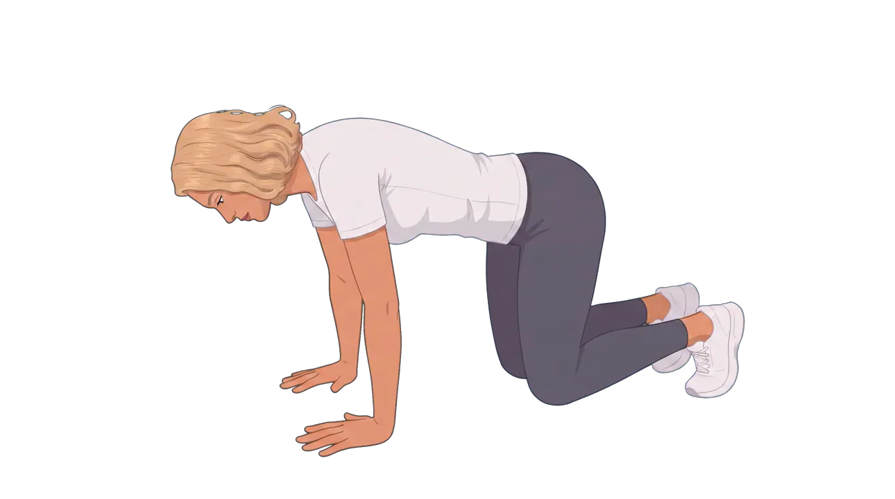 Bear Plank (Cindy)