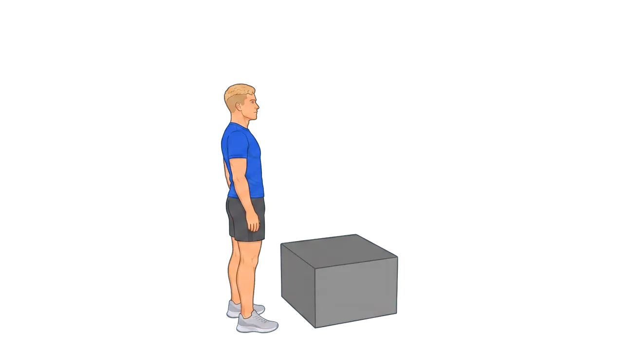 Box Jump (Michael)