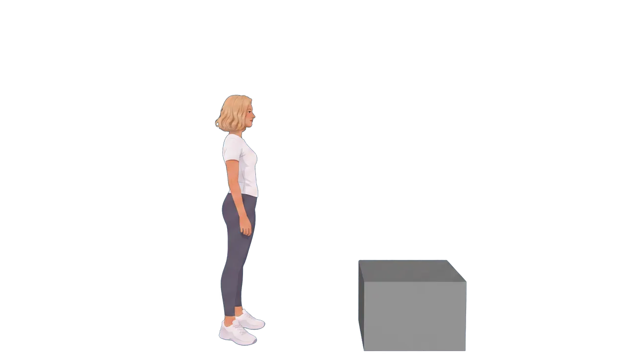 Burpee Box Jump (Cindy)