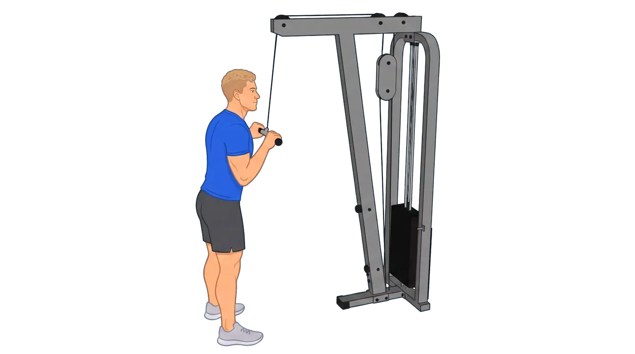 Triceps Pushdown (Michael)