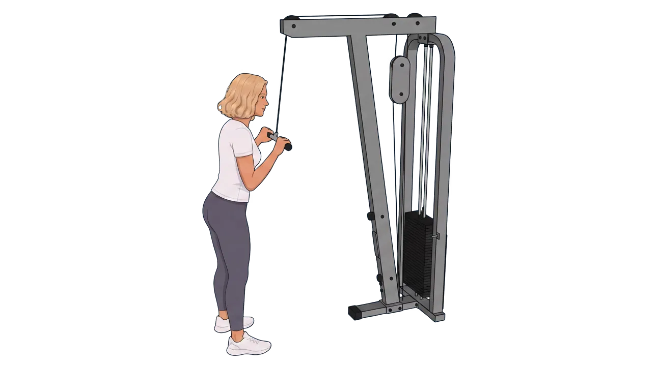 Triceps Pushdown (Cindy)