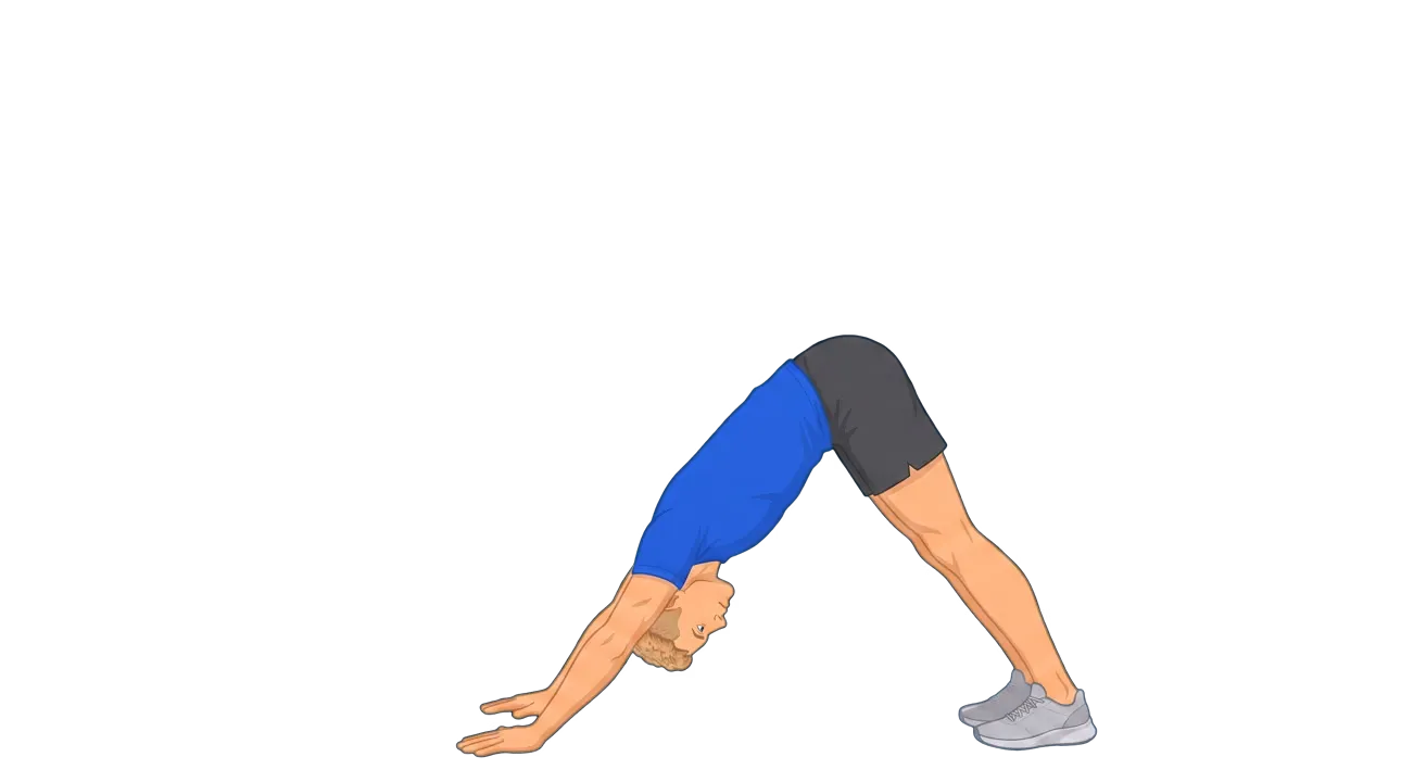 Down Dog to Chaturanga (Michael)