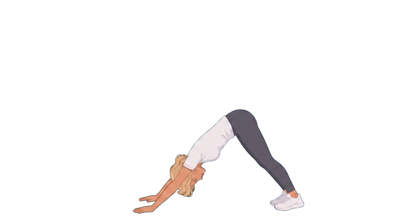 Down Dog to Chaturanga (Cindy)