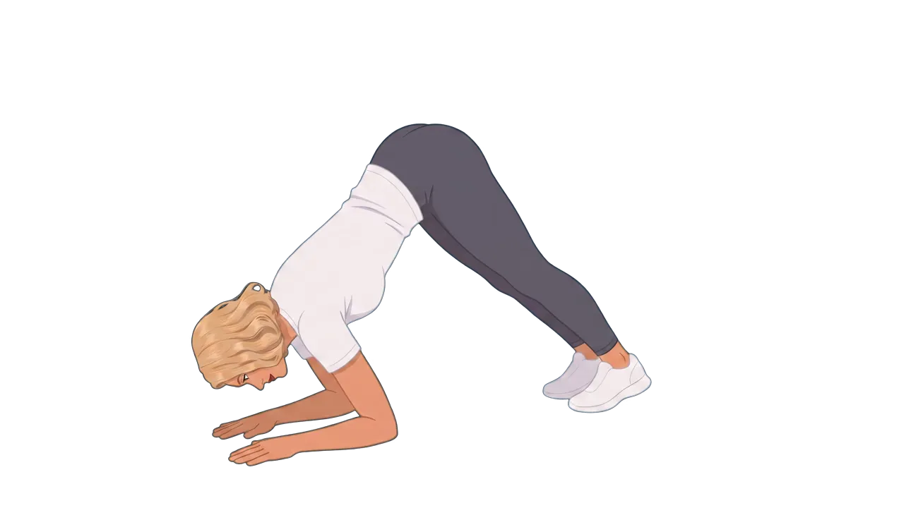 Dolphin Pose (Cindy)