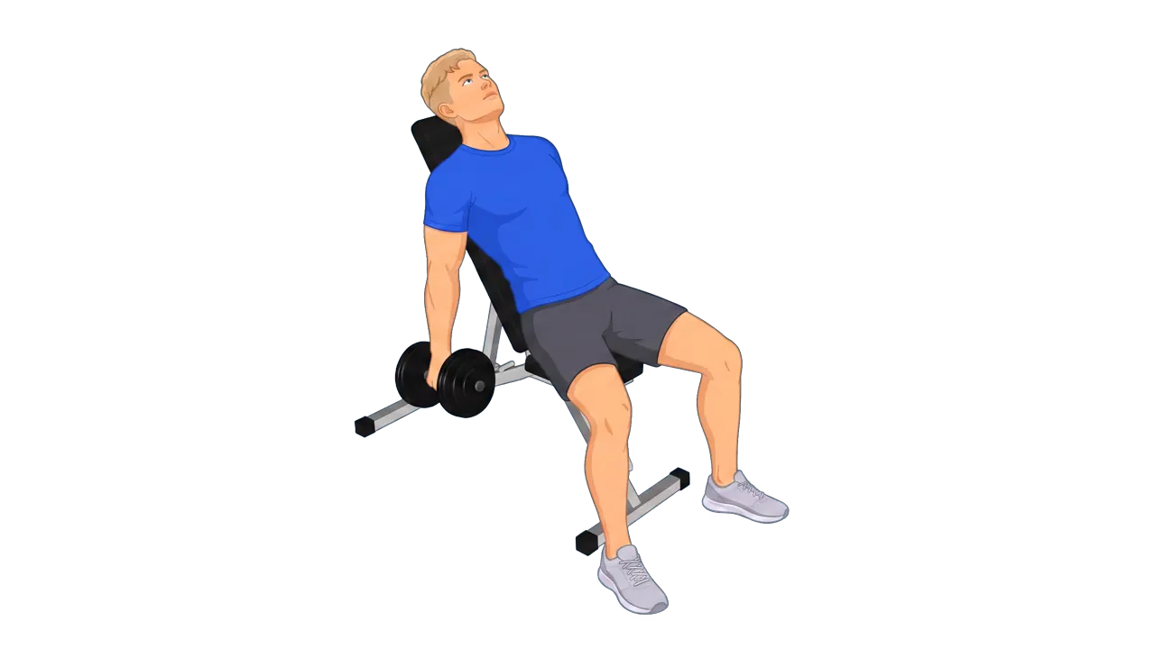 Incline Dumbbell Curl (Michael)