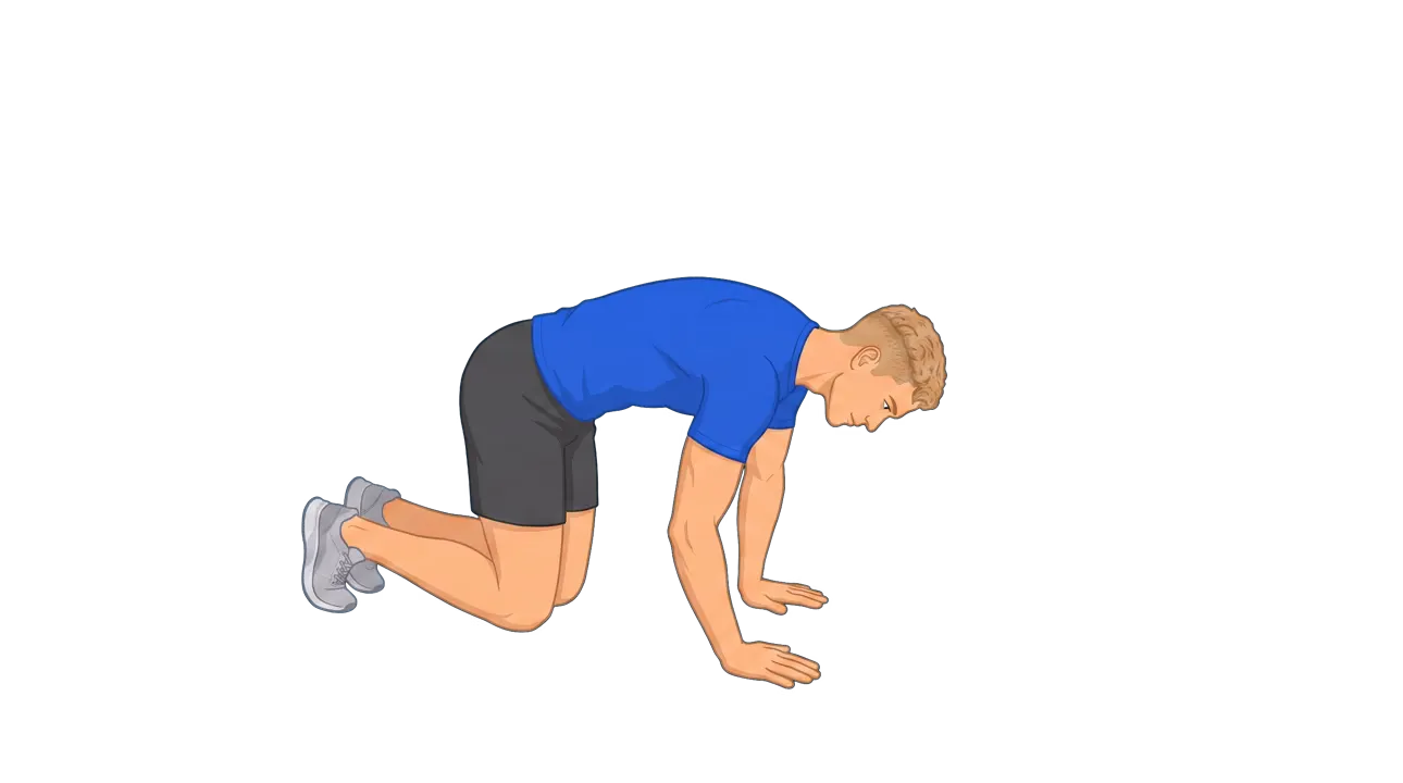 Kneeling Lat Stretch (Michael)