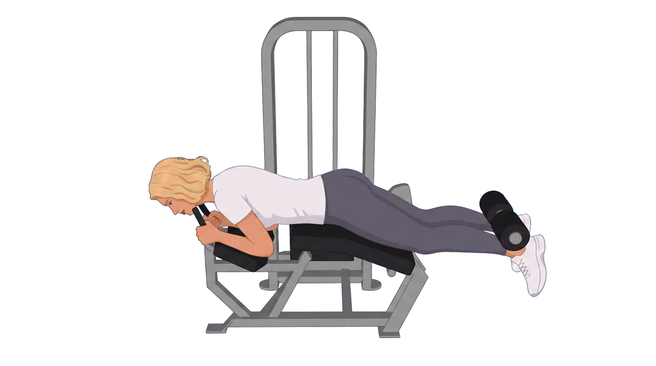 Lying Leg Curl (Cindy)