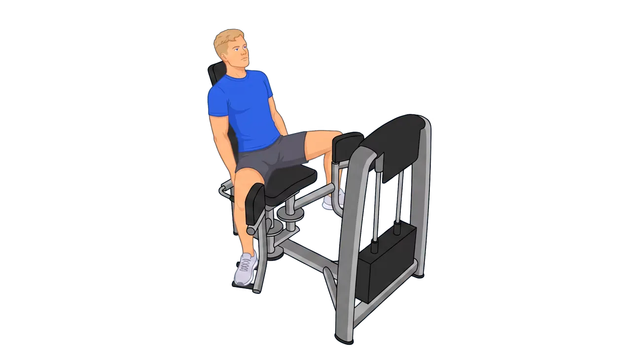 Hip Adduction Machine (Michael)