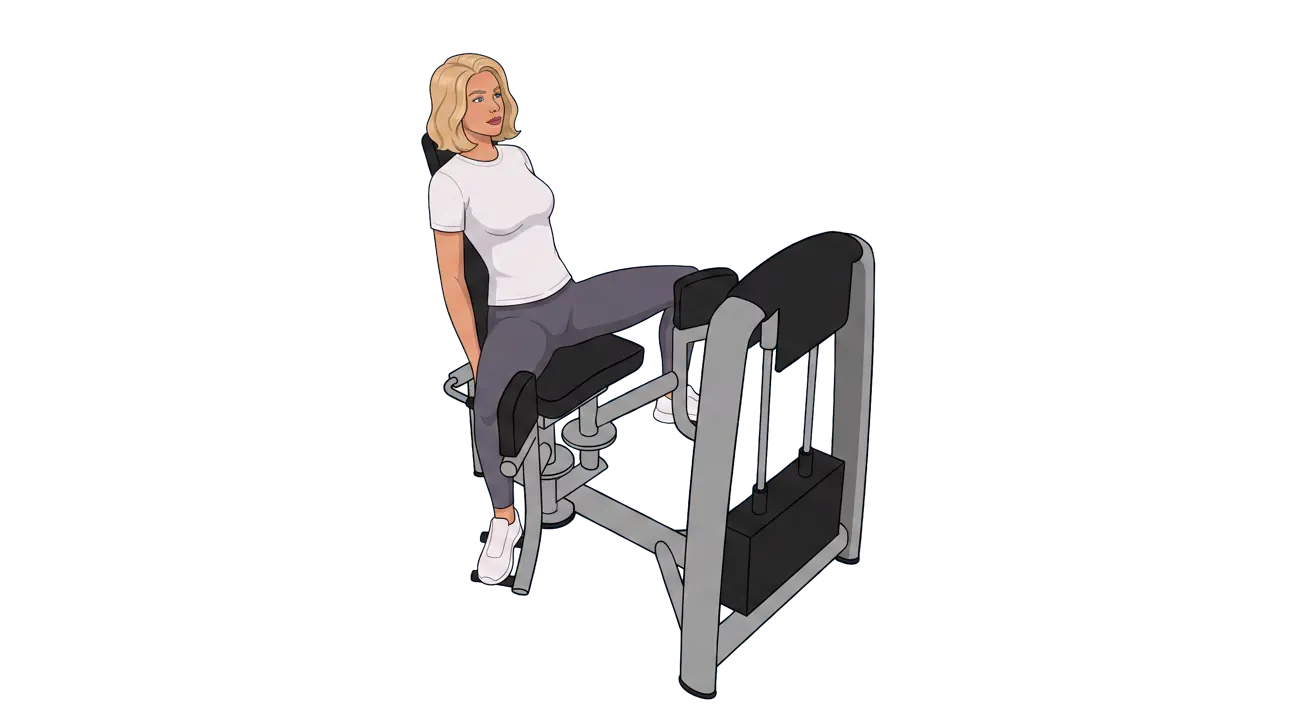Hip Adduction Machine (Cindy)