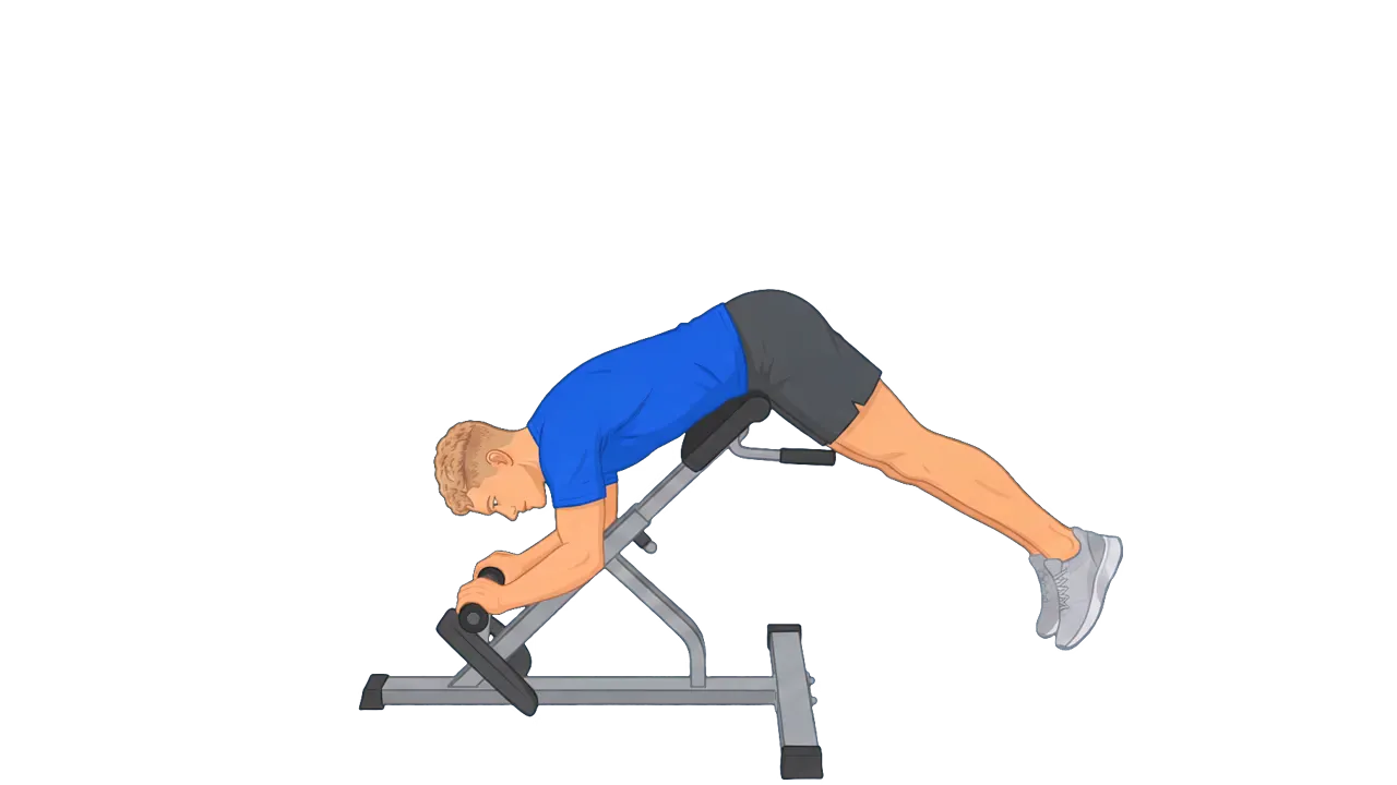 Reverse Hyperextension (Michael)