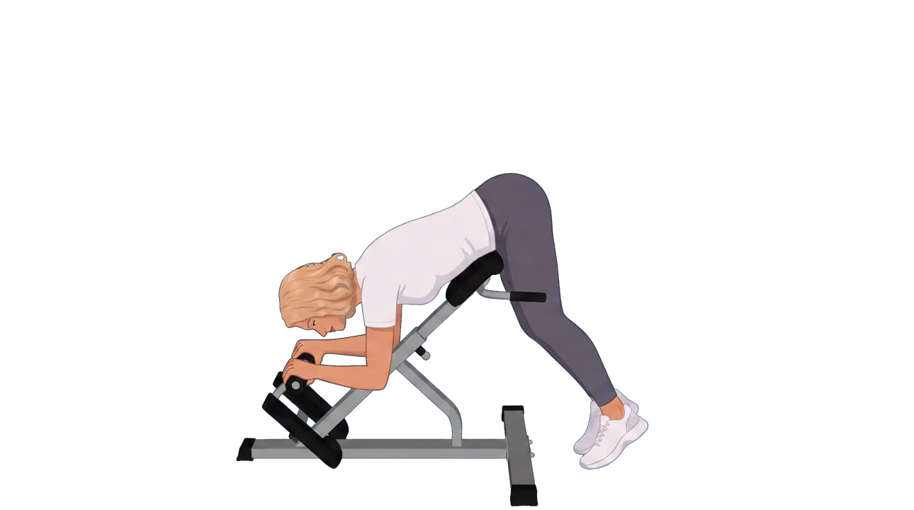 Reverse Hyperextension (Cindy)