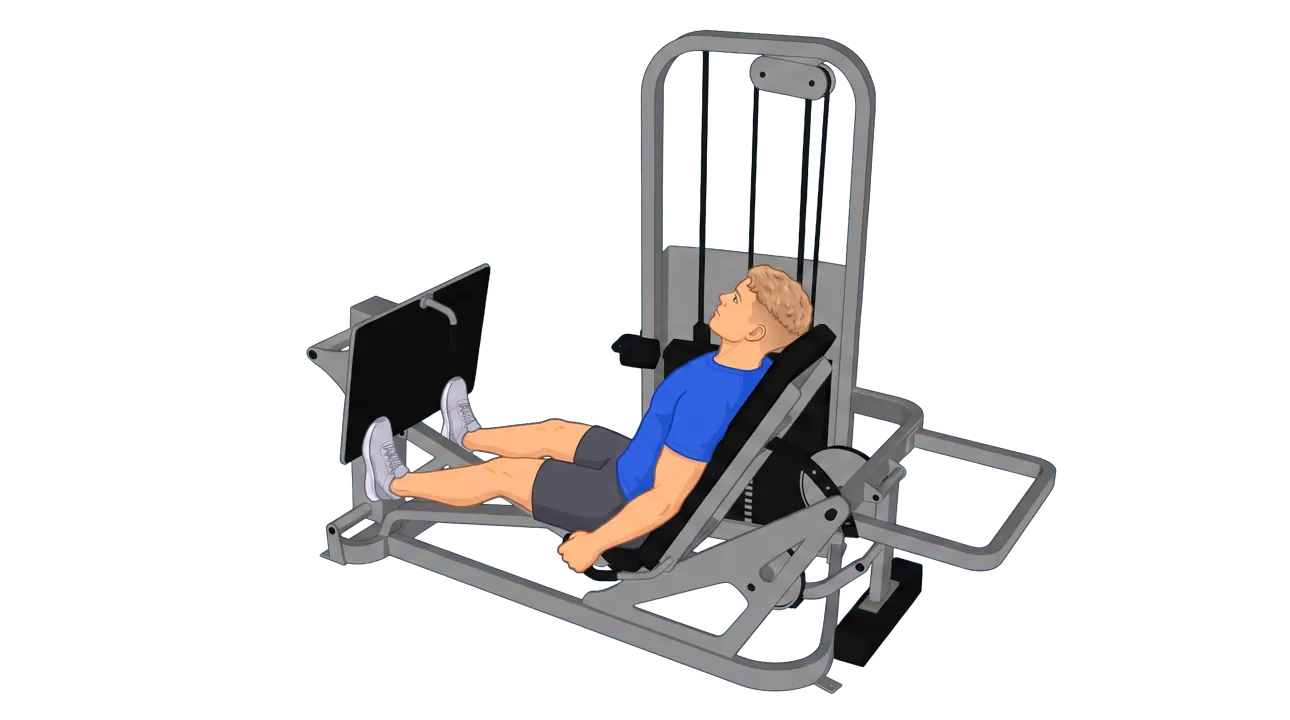 Seated Calf Press (Machine) (Michael)