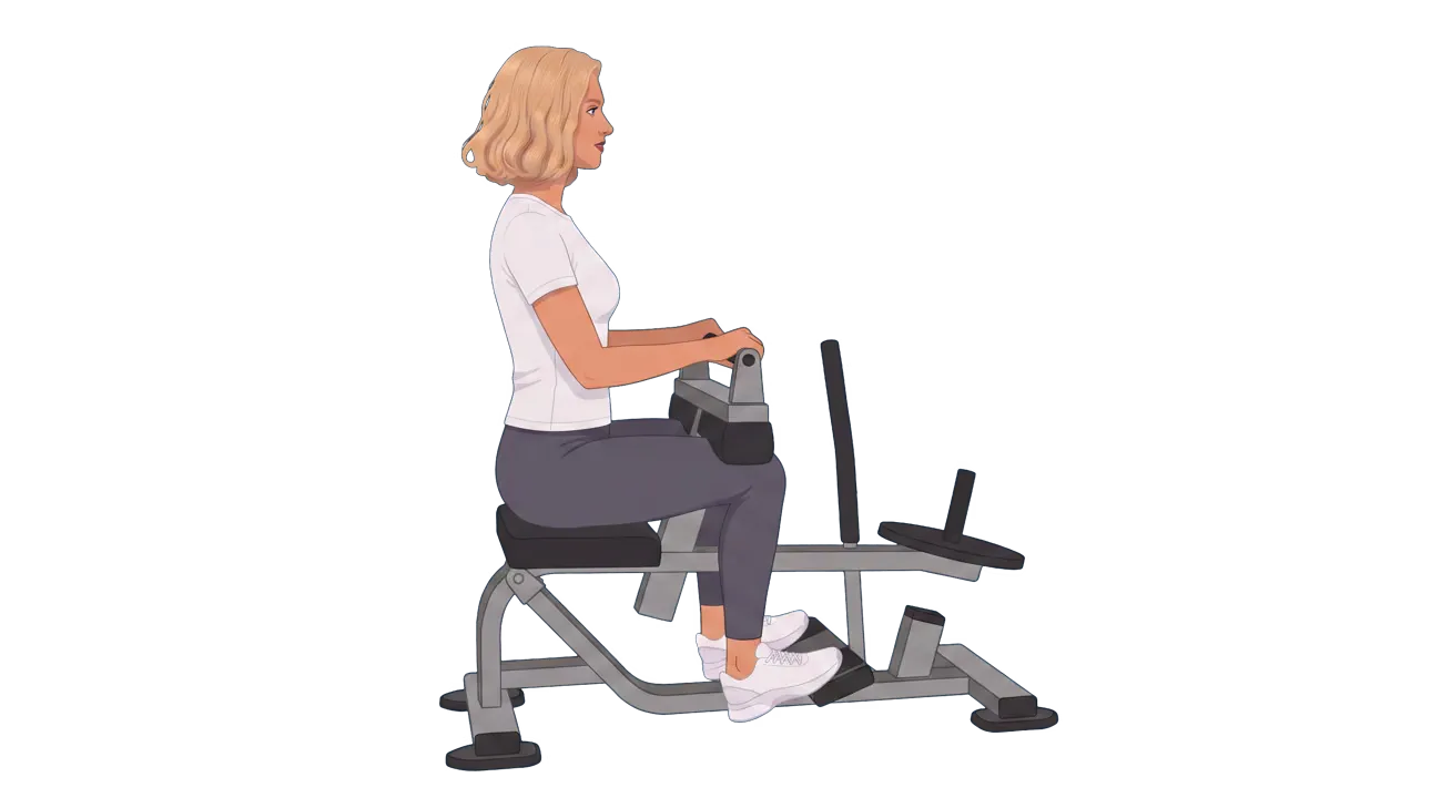 Seated Calf Raise (Cindy)