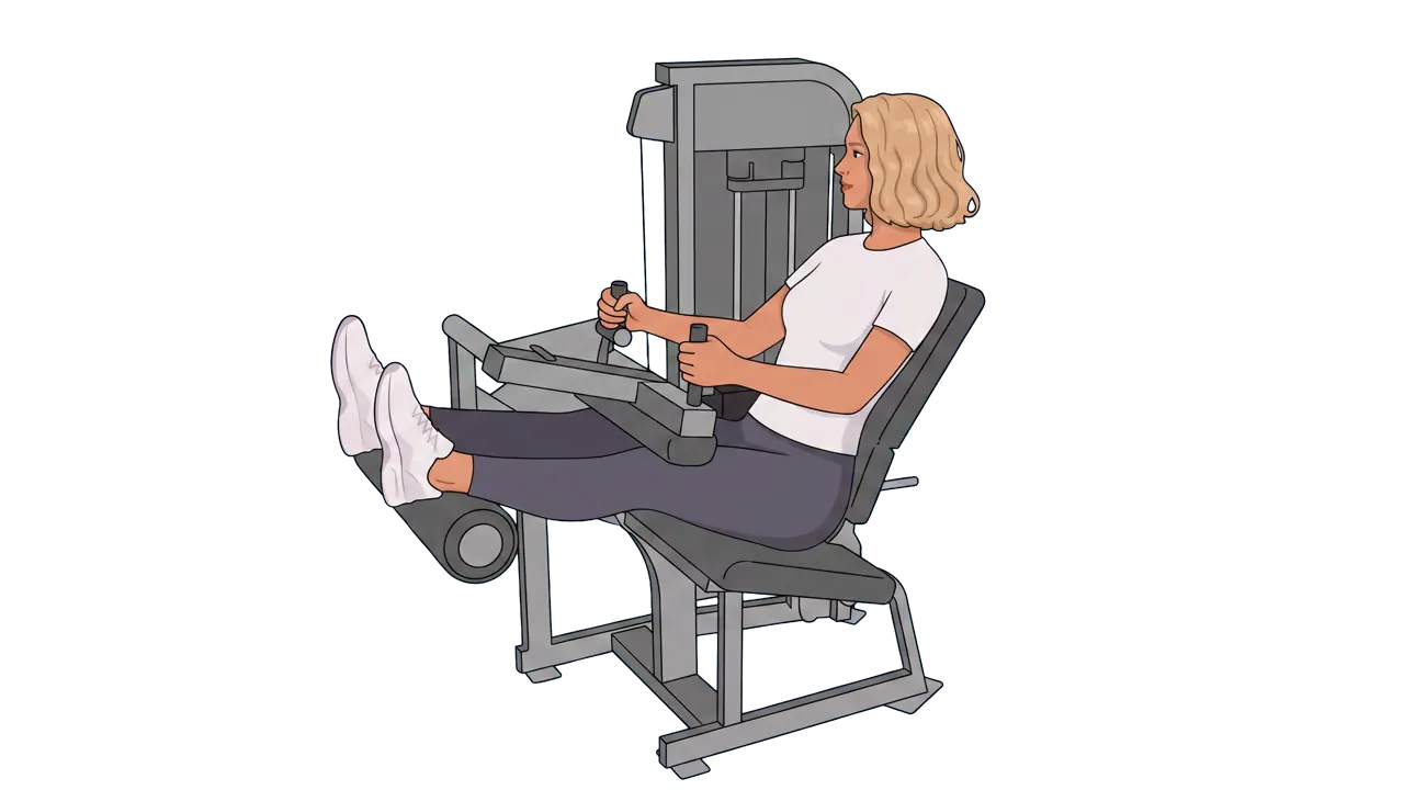 Seated Leg Curl (Cindy)