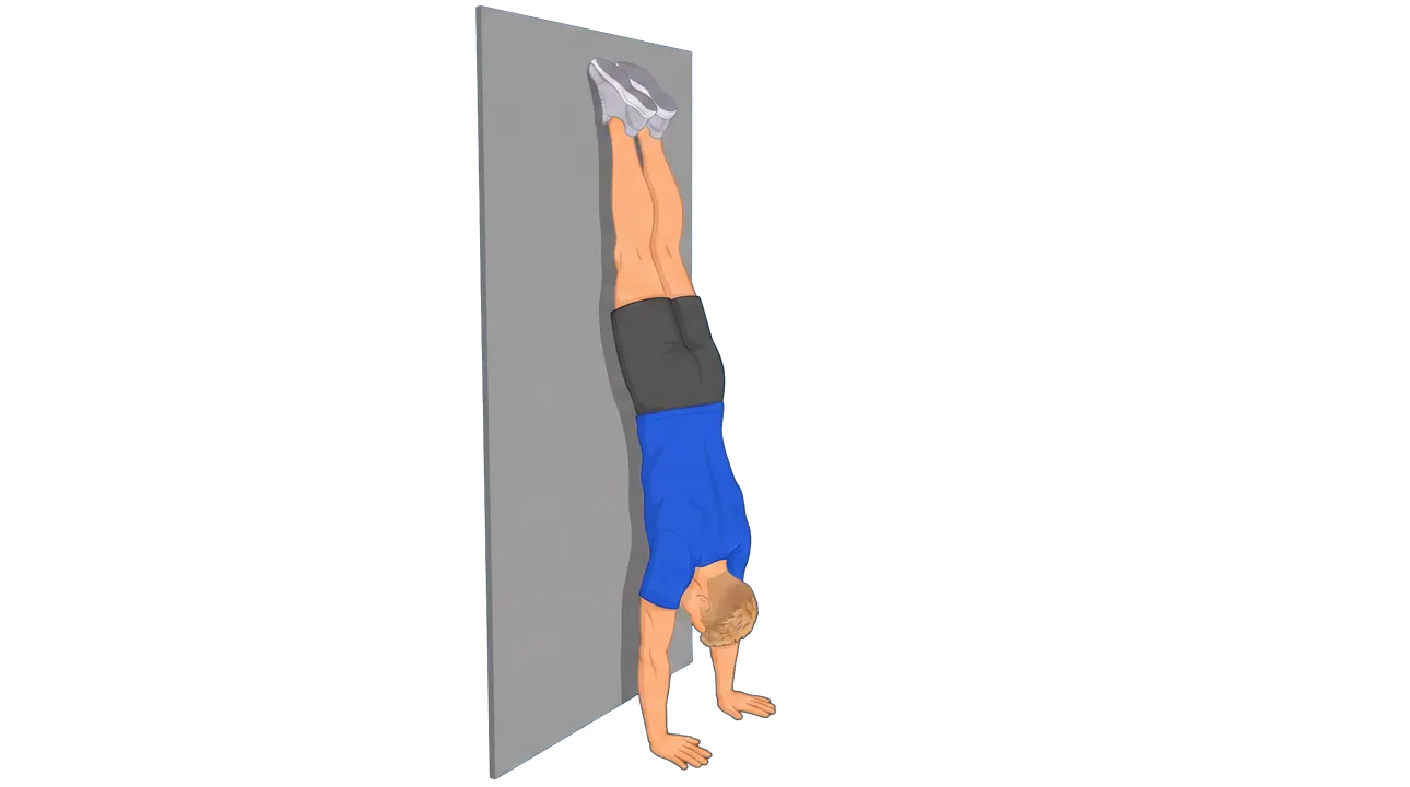 Handstand (Wall) (Michael)